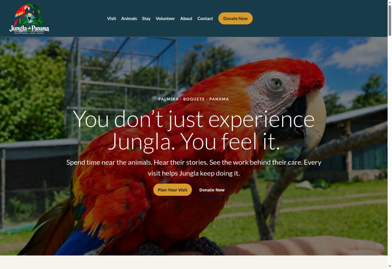 Actual Jungla de Panama homepage